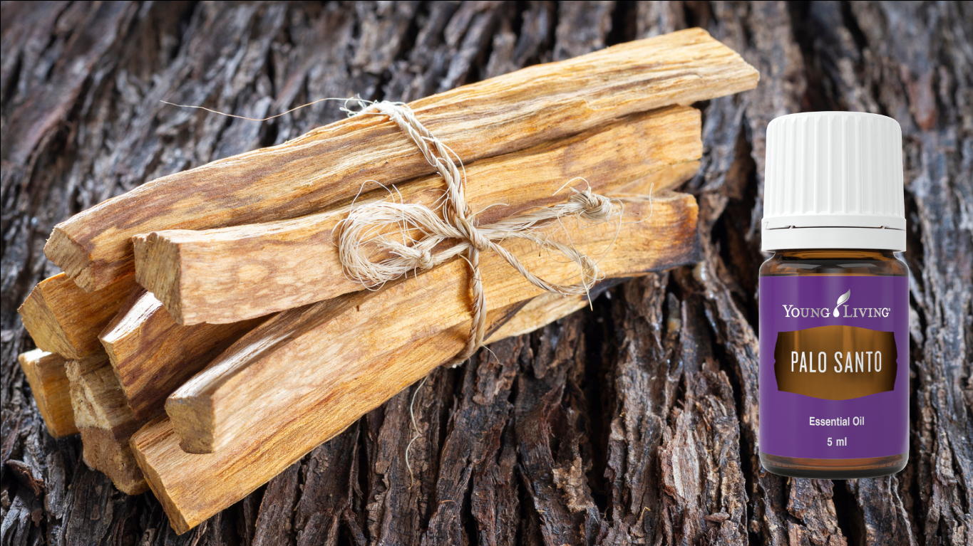 Palo Santo Essential Oil: Uses, Benefits, and More – New Age Guru